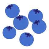 Blueberries