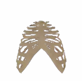 Blessed Corpse (Ribcage)