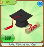 Rolled Diploma and Cap
