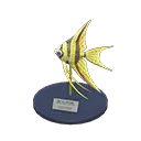 angelfish model