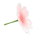 cherry-blossom umbrella