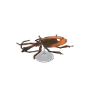violin beetle model