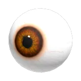 Tiger's Eye