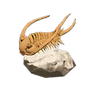 trilobite