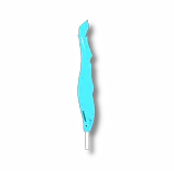 Lollipop Lamprey