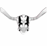 Hollow Head