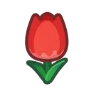 red tulips