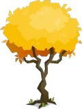 Autumn Fruit Tree Collection