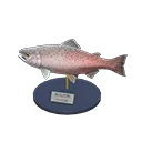 king salmon model