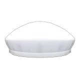 lunch-service cap