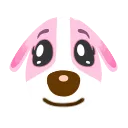 Cookie