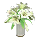 Casablanca lilies
