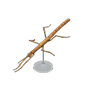 walking stick model