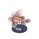 zebra turkeyfish model