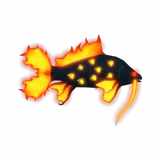 Cinder Carp