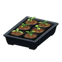 potted starter plants