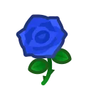 blue roses
