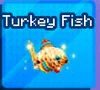 Turkey Fish