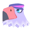 Quinn