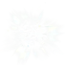 Crystalized