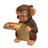 Curious Monkey