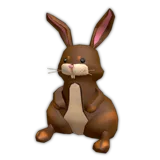 Wild Bunny