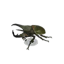 horned atlas model