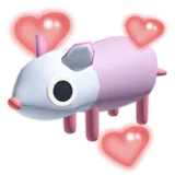 Pink Possum