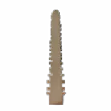 Blessed Corpse (Spine)