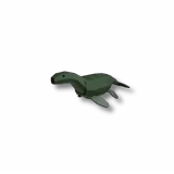 Baby Nessie