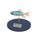 pale chub model