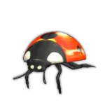 Ladybird