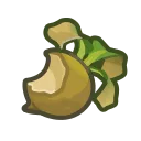 spoiled turnips