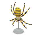 spider model