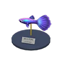 guppy model