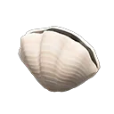 shell lamp