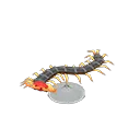 centipede model