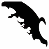 Devil Wing