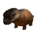 Groundhog