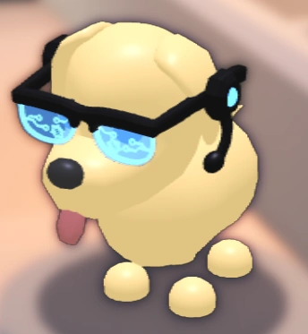 AR Glasses