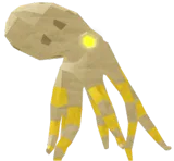 Goldfin Octopus