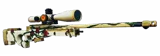 AWP Roses
