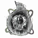 Broken Soul of The Scarred Sun
