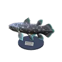 coelacanth model