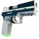 P250 Equinox