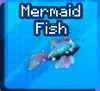 Mermaid Fish