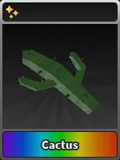 Cactus