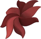 Anemone Head Bow