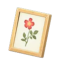 framed photo