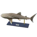 whale shark model